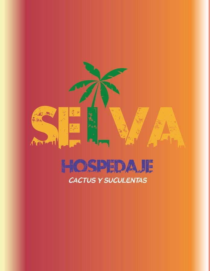 Selva Hospedaje Valparaíso Buitenkant foto