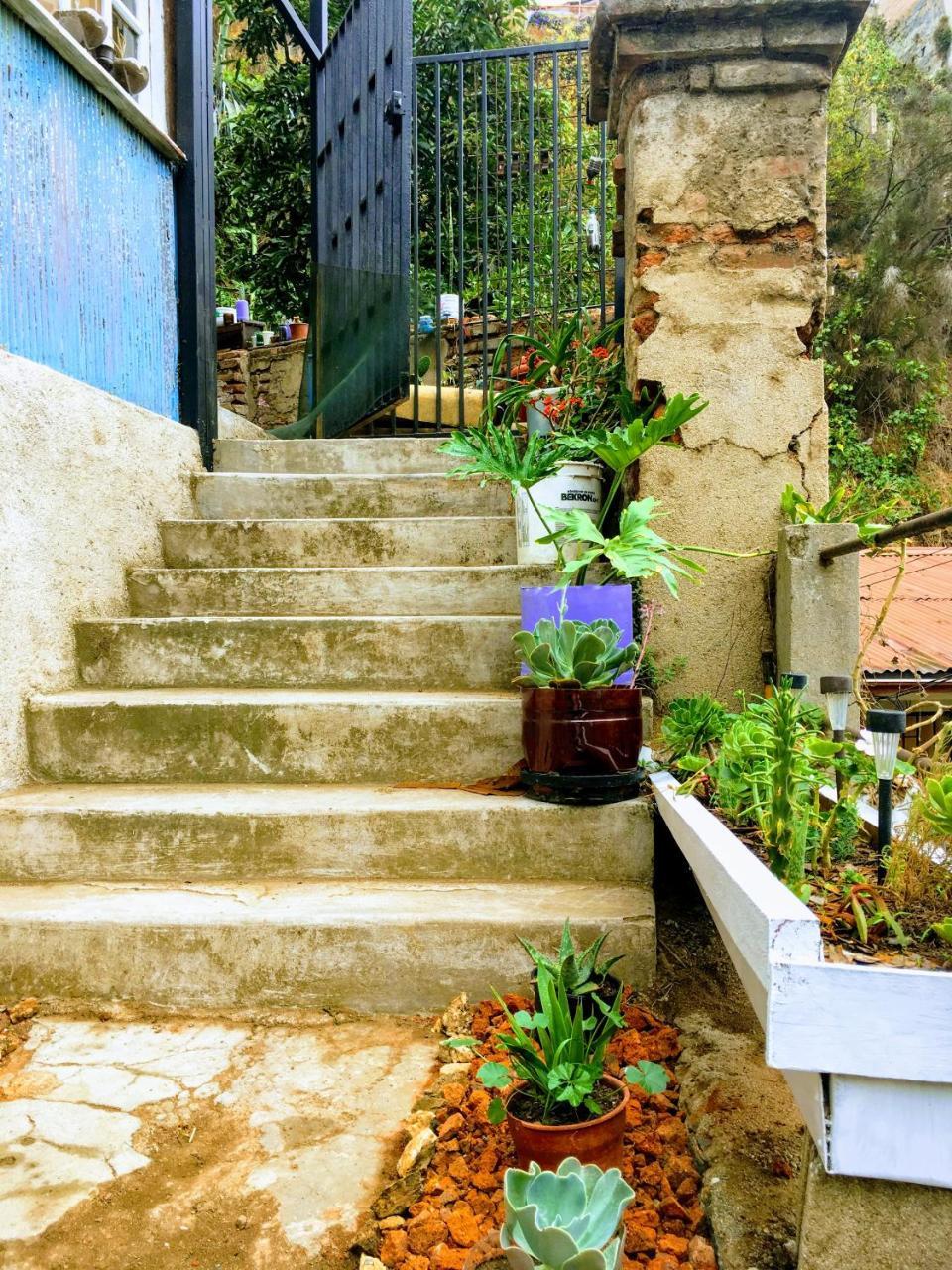 Selva Hospedaje Valparaíso Buitenkant foto